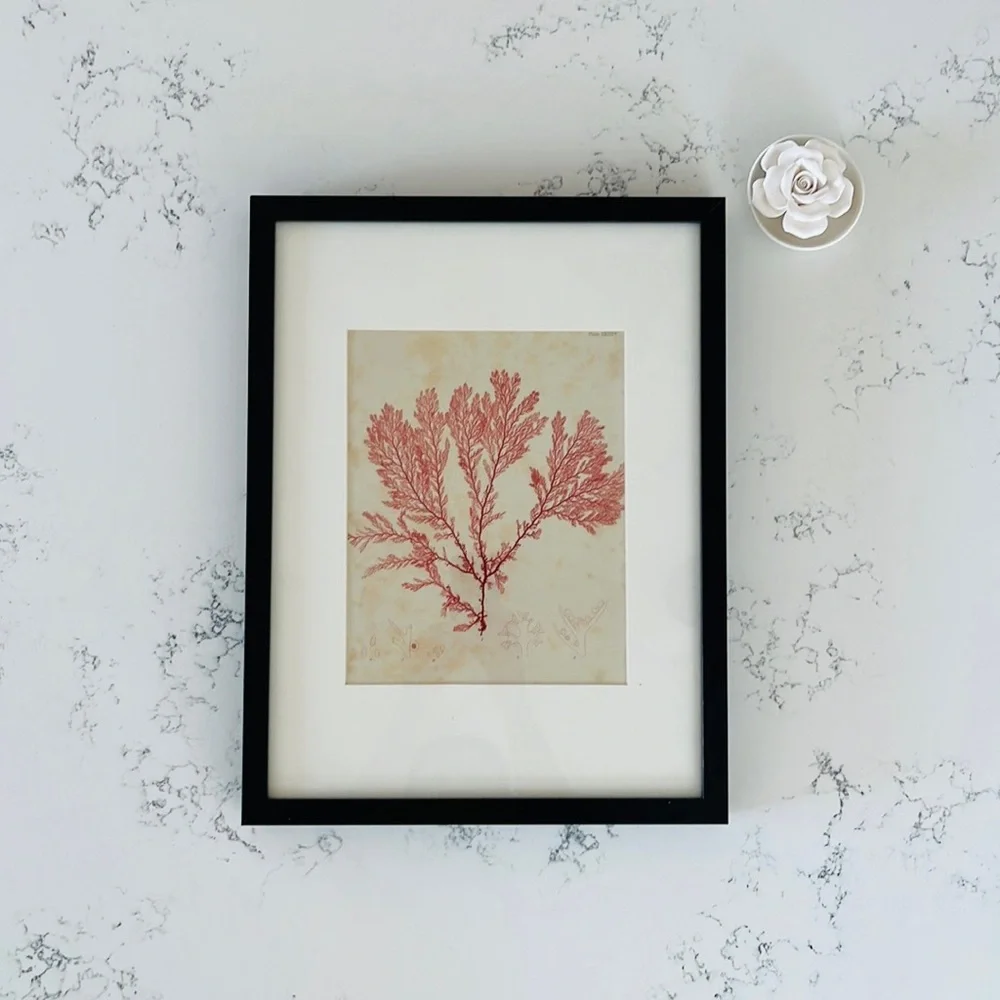 IKEA Minimalist Red Coral Wall Decor